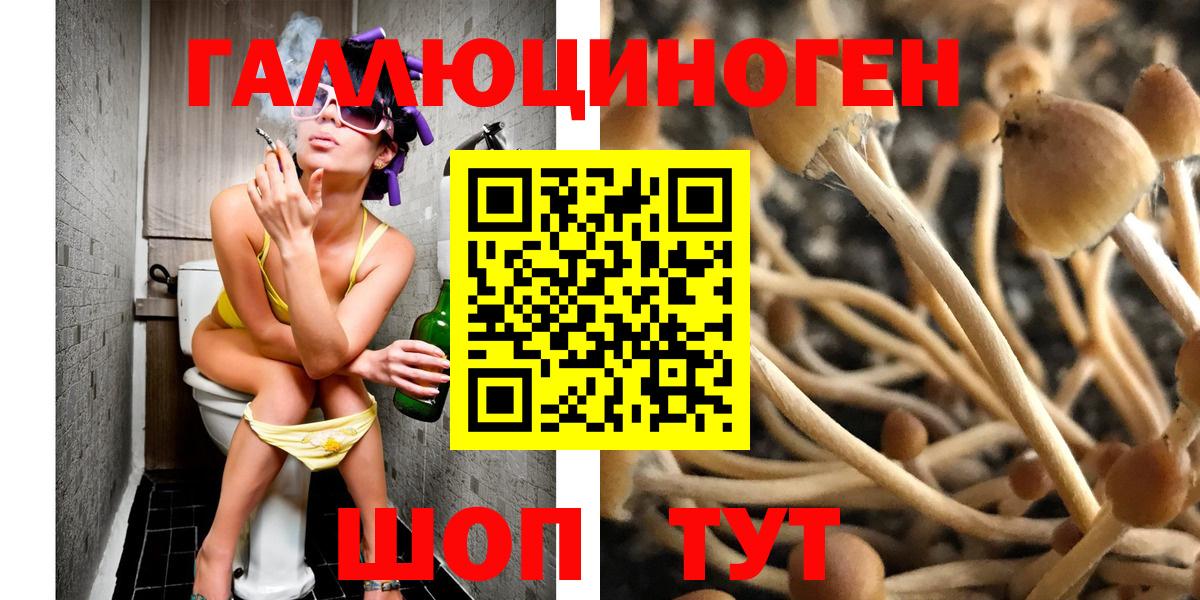 продажа наркотиков  Вход с VPN  Галлюциногенные грибы Magic Shrooms  Волгодонск  Псилоцибиновые грибы мухоморы 